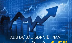  ADB dự báo GDP Việt Nam phục hồi ở mức 6,5% nhờ bao phủ vaccine