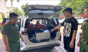 Bắt tạm giam các đối tượng xâm nhập trái phép vào mạng máy tính, mạng viễn thông
