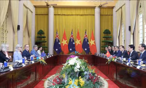 Chủ tịch nước Lương Cường và Toàn quyền Australia Sam Mostyn hội đàm
