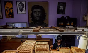 Điểm tên những dòng xì gà đình đám nhất lễ hội Habano 2023