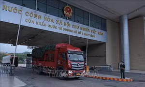 Đến chiều 31/1, cơ bản giải quyết tình trạng ách tắc hàng hóa tại nhiều cửa khẩu