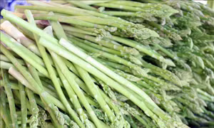 Mô hình trồng măng tây xanh trên vùng 'sa mạc' Ninh Thuận