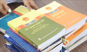 Hoàn thiện Bộ luật Tố tụng dân sự đáp ứng yêu cầu phát triển mới