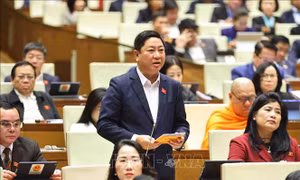 Sớm ban hành cơ chế đặc thù để dự án điện hạt nhân hoàn thành đúng lộ trình