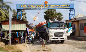 Huy động tối đa nguồn lực đẩy nhanh thông quan nông sản nhập khẩu
