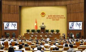 Quốc hội thảo luận về Dự án đường Vành đai 5 - Vùng Thủ đô Hà Nội