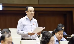 Tính toán đầy đủ nguồn lực đầu tư cho dự án đường sắt Lào Cai - Hà Nội - Hải Phòng