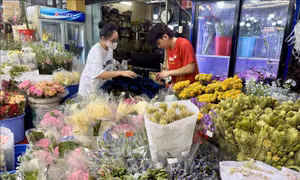 Thị trường hoa tươi sôi động dịp 8/3, hoa hồng tăng giá mạnh