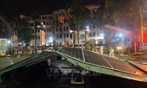 Thanh Hóa nhanh chóng khắc phục hậu quả mưa giông