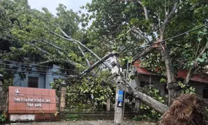 Khuyến cáo bảo đảm an toàn điện trong mùa mưa bão