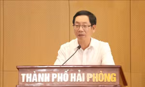 Phê chuẩn kết quả bầu, miễn nhiệm chức vụ Phó Chủ tịch UBND 2 thành phố