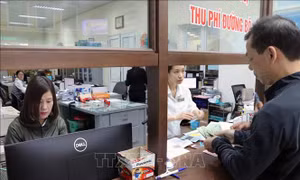 Yêu cầu khẩn trương xây dựng giá dịch vụ kiểm định xe cơ giới mới