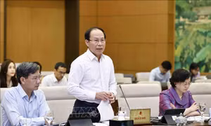 Hải Phòng đề nghị tăng số lượng cấp phó khi tổ chức chính quyền đô thị