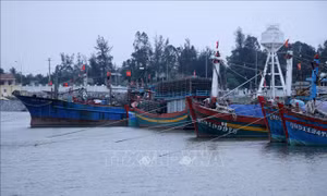 Quảng Bình hỗ trợ tàu cá khai thác thủy hải sản vùng khơi