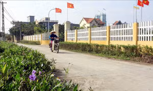 Lập Hội đồng thẩm định Báo cáo đề xuất chủ trương đầu tư xây dựng nông thôn mới