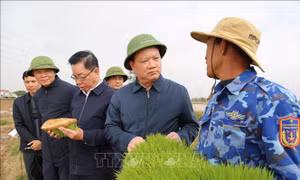 Động viên nông dân sản xuất nông nghiệp đầu năm mới