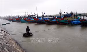 Vẫn còn tàu cá hoạt động trong khu vực ảnh hưởng của bão Côn Sơn