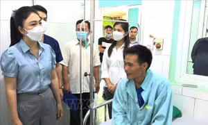 Sức khỏe 8 bệnh nhân bị ngộ độc hoa chuông đã tạm ổn định
