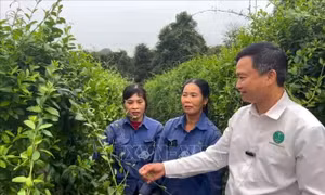 Chuyển đổi nghề nghiệp - cơ hội mới cho người lao động