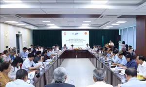 Phát huy tiềm lực trí thức người Việt Nam ở nước ngoài trong xây dựng đất nước