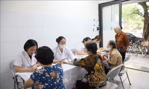 Chủ động duy trì mức sinh và thích ứng với thực trạng già hóa dân số