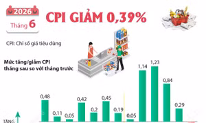 CPI tháng 6/2026 giảm 0,39%