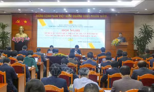 Phát huy lợi thế trong xây dựng huyện nông thôn mới kiểu mẫu 
