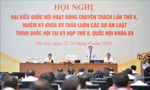  Phân loại tàu bay không người lái để cấp phép đúng với quy định
