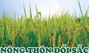 Nông thôn khởi sắc sau 12 năm xây dựng nông thôn mới