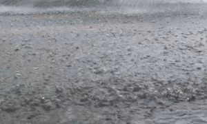 Mưa to gió lớn gây nhiều thiệt hại ở Bắc Kạn