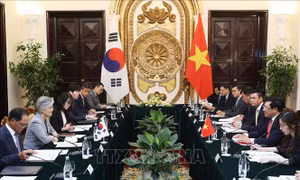 Phó Thủ tướng Phạm Bình Minh: Việt Nam luôn coi trọng quan hệ với Hàn Quốc 