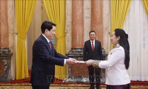 Chủ tịch nước Lương Cường tiếp đại sứ các nước trình Quốc thư