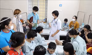 Số ca mắc sốt xuất huyết năm 2022 ở Hà Nội đã vượt qua ngưỡng cảnh báo dịch