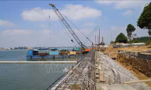 Khắc phục sạt lở kè Thường Thới Tiền trước mùa mưa lũ