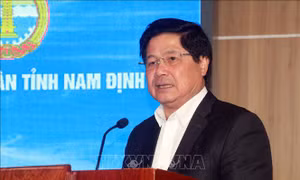 Vụ Đông Xuân năm 2020 - 2021: Các tỉnh phía Bắc bố trí cơ cấu giống phù hợp với thực tế