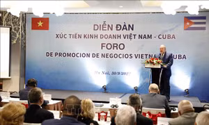 Thúc đẩy quan hệ đầu tư thương mại giữa Việt Nam và Cuba
