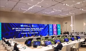 Tầm nhìn toàn diện để phục hồi bền vững