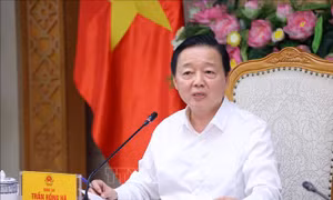 Sẽ xây dựng cơ sở dữ liệu những dự án được cấp tín dụng xanh, phát hành trái phiếu xanh