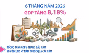 Đồ họa GDP 6 tháng năm 2026