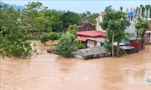 Bão số 4 và mưa lũ làm 3 người chết và nhiều thiệt hại nghiêm trọng tại các địa phương