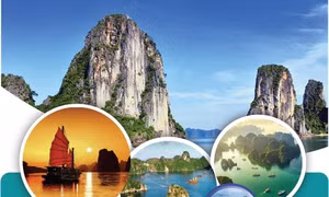 10 hoạt động không thể bỏ lỡ trong hành trình khám phá Vịnh Hạ Long