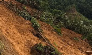 Lở đất tại Cameroon, ít nhất 12 người thiệt mạng