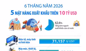 Sáu tháng năm 2026: 5 mặt hàng xuất khẩu trên 10 tỷ USD