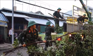 Đồng Tháp khẩn trương khắc phục thiệt hại do mưa giông, lốc xoáy