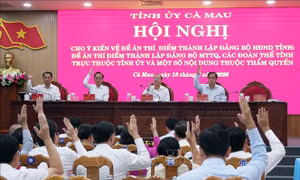 Tỉnh ủy Cà Mau kiện toàn hệ thống chính trị nâng cao hiệu lực hiệu quả trong tình hình mới