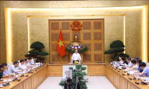 Đưa môi trường trở thành lĩnh vực kinh tế mới trong quá trình chuyển đổi xanh