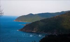 Vẻ đẹp kỳ vĩ của cung đèo Hải Vân
