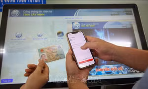 Khẩn trương xử lý các tồn đọng trong Chương trình chuyển đổi số quốc gia
