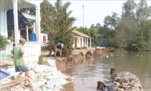 Vĩnh Long: Khắc phục sự cố sạt lở bờ sông ở xã Lục Sỹ Thành