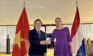 Phó Thủ tướng Trần Hồng Hà thăm và làm việc tại Hà Lan